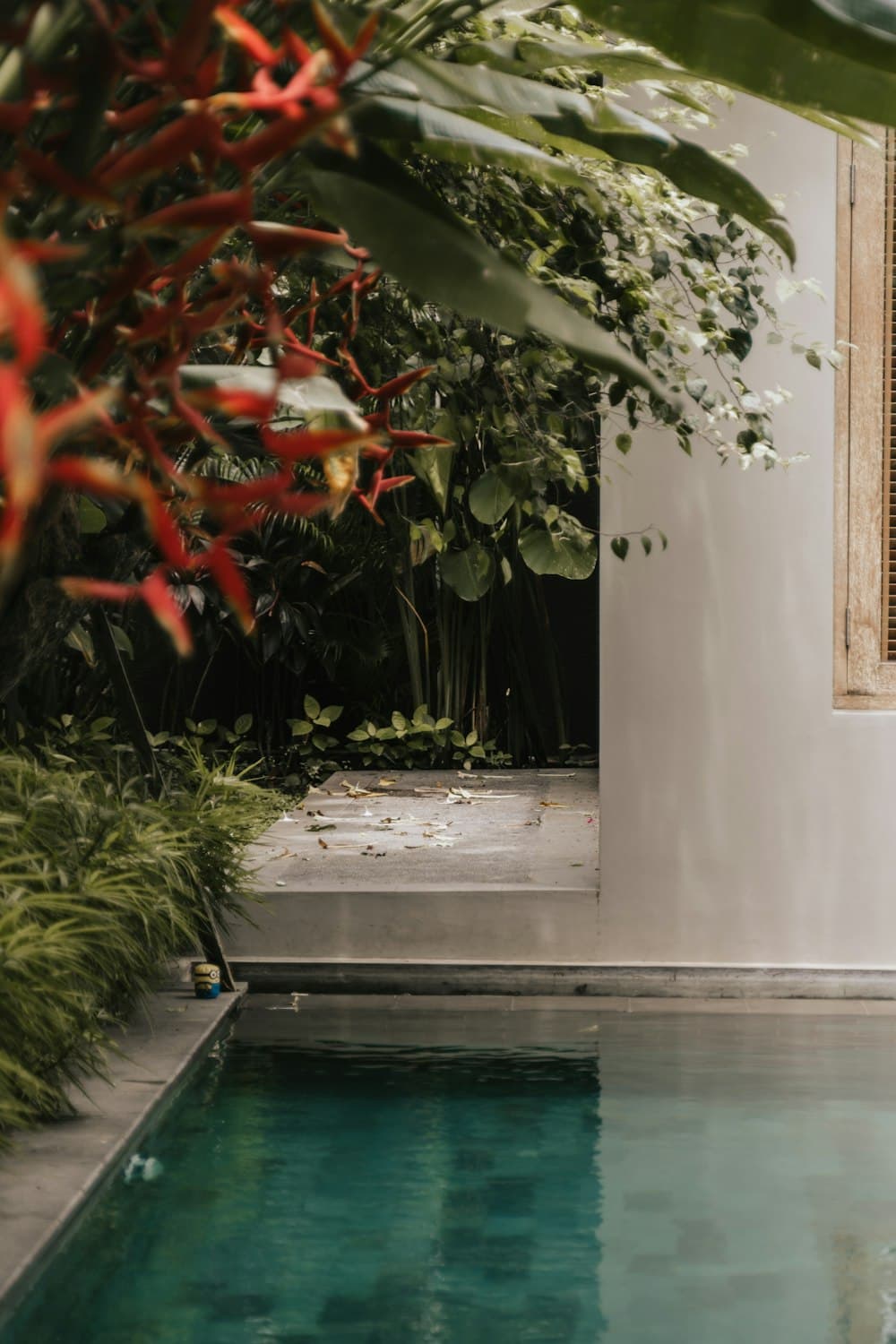 Tropical Tiled Courtyard